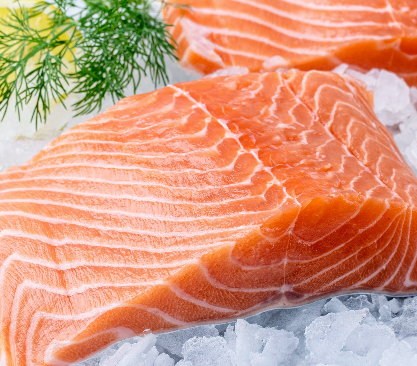 Raw Dog Food Salmon and Chicken Mince Frozen 40 x 500g Rolls (20kg)