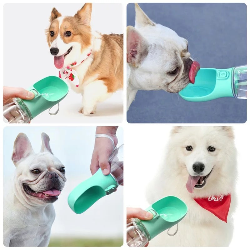 PORTABLE PET WATER BOTTLE 350ML